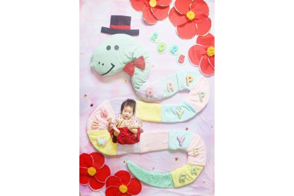 <div style=" font-size:10px; font-weight:bold;">テーマ「巳年 Happy new year」</div>