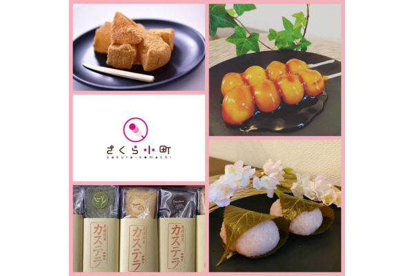 <div style=" font-size:10px; font-weight:bold;">さくら小町静岡</div>