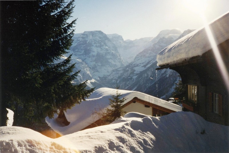 Machbarkeit Holz-Nahwärmeverbund Braunwald 2013