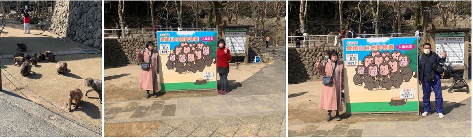 よし！高崎山にいこう