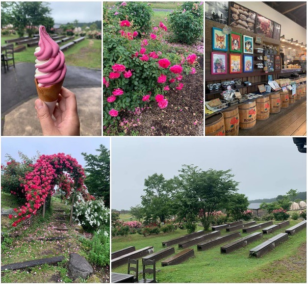 久住花公園に行ってきました