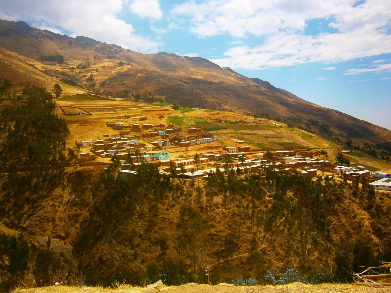 PISHA - PERU