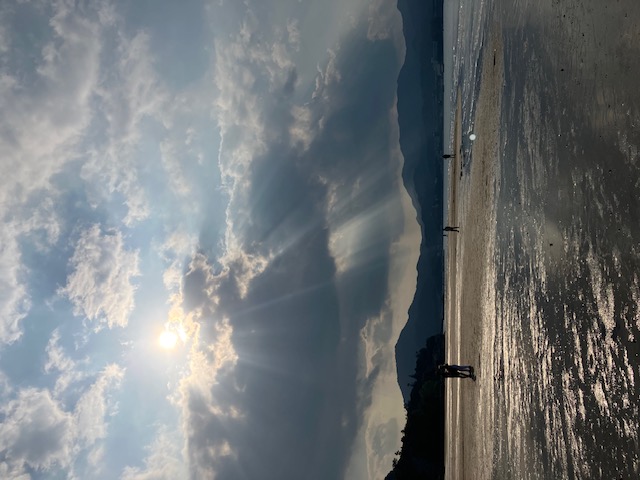 秋の到来です♪