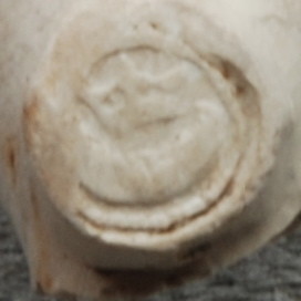 Gouda, ca 1690-1720
