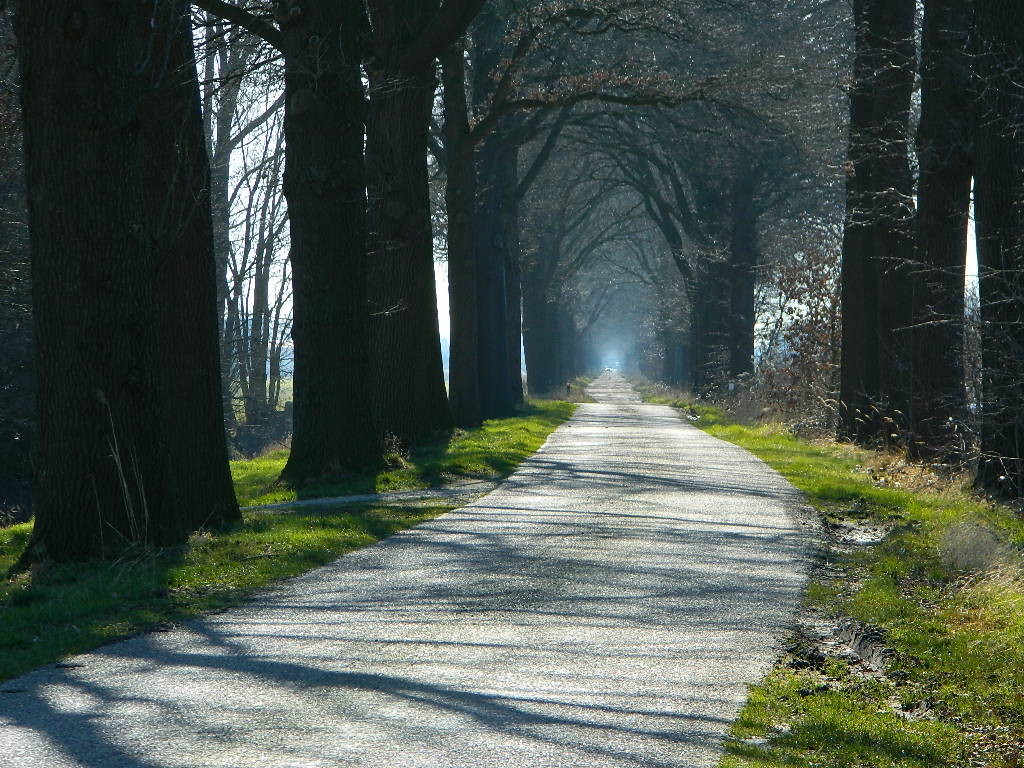 Straße entlang des Nederweert-Helmond Kanals