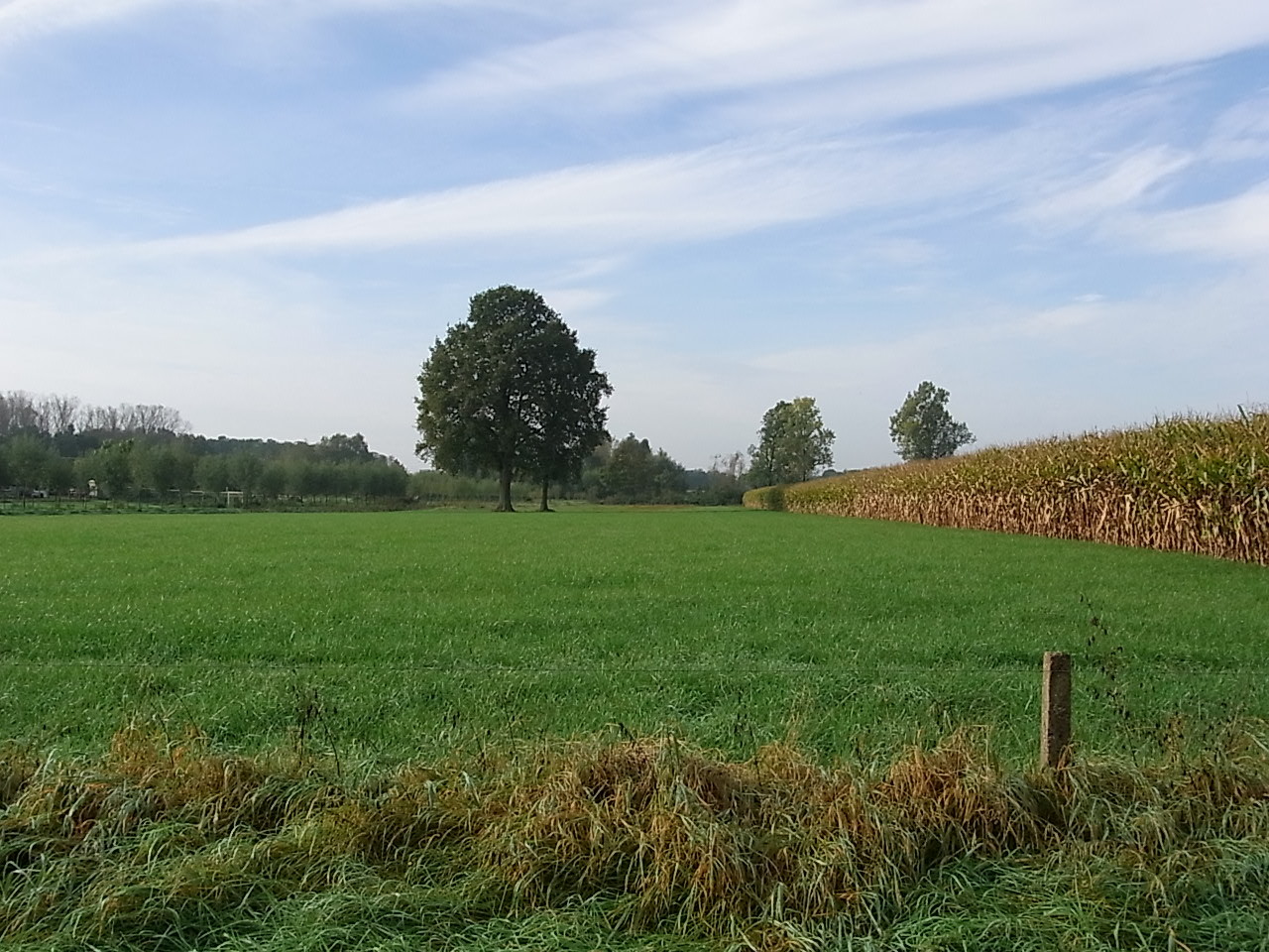 Schöne Landschaft 