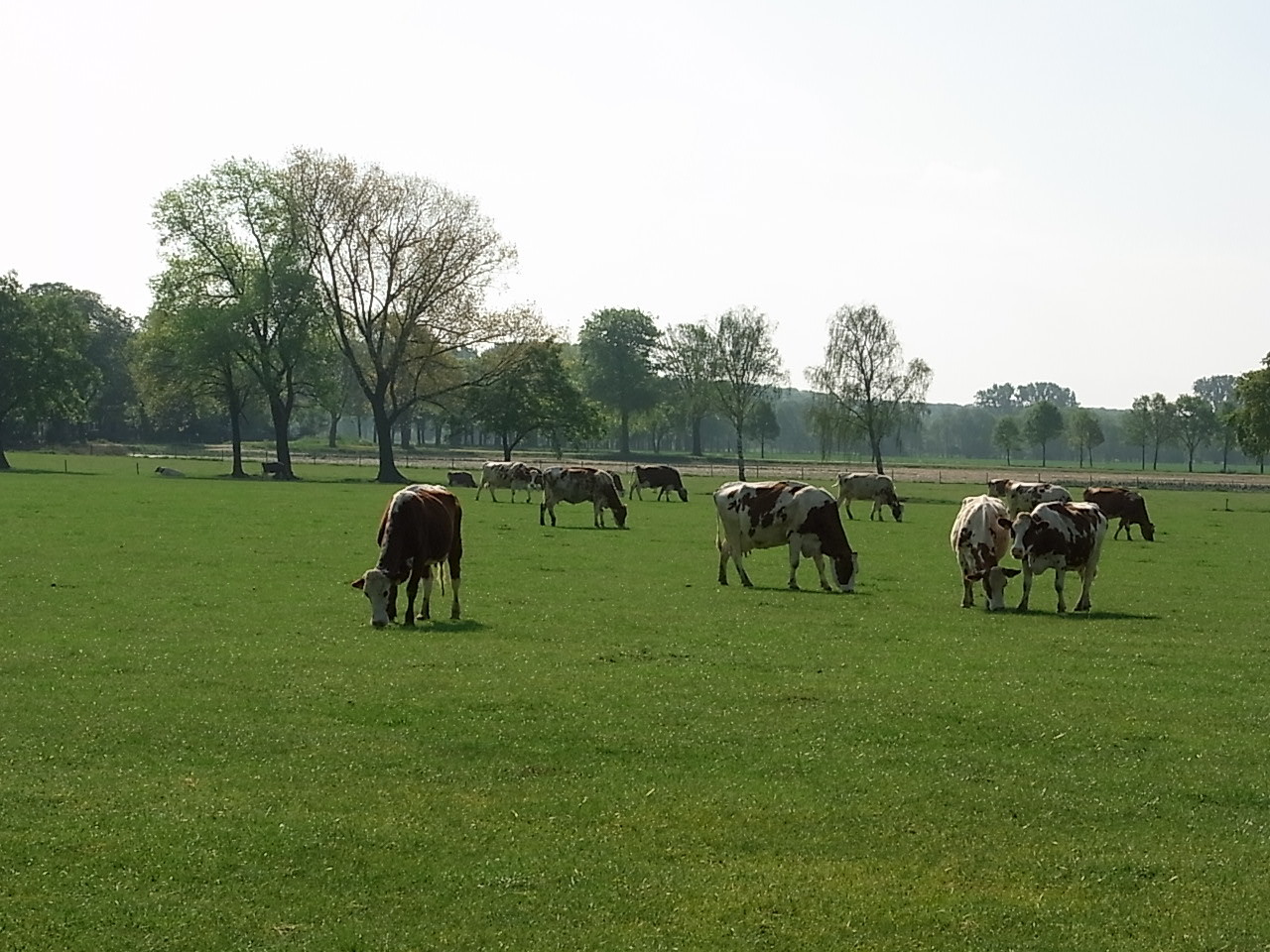 Großer Bauernhof mit Land vor der Abtei Lilbosch