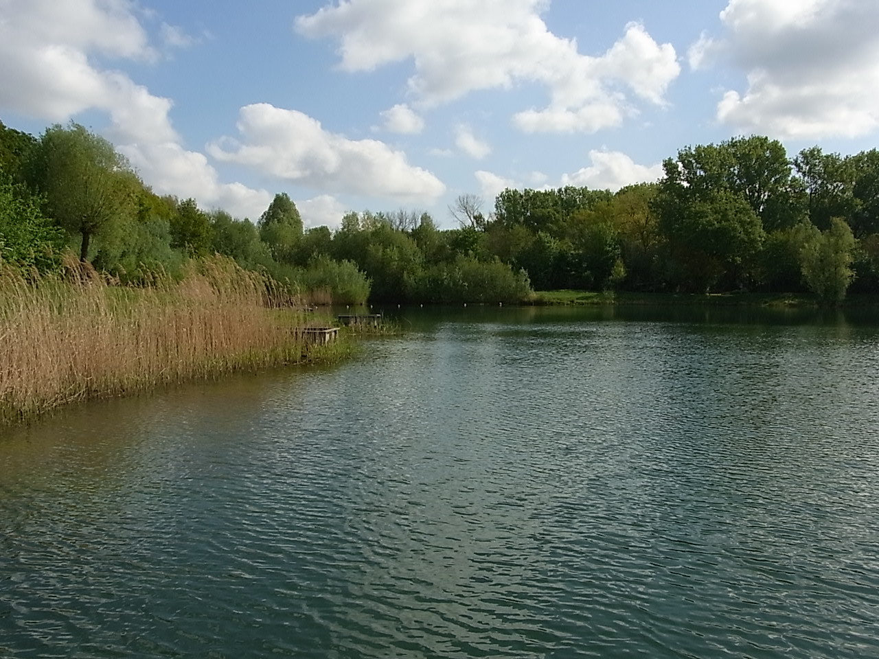 Ein Baggersee in Limburg