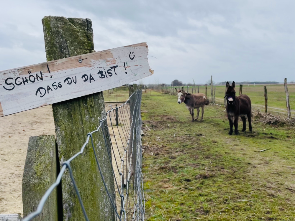Lotte und Else auf der ehemaligen Finca Pachamamas