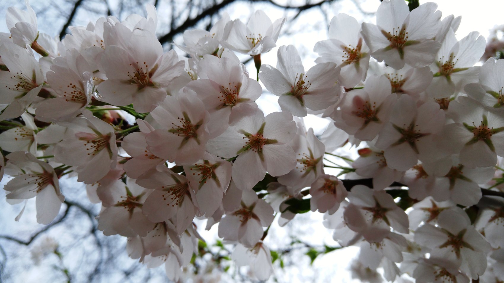 Die Entdeckung des Liebesfeldes