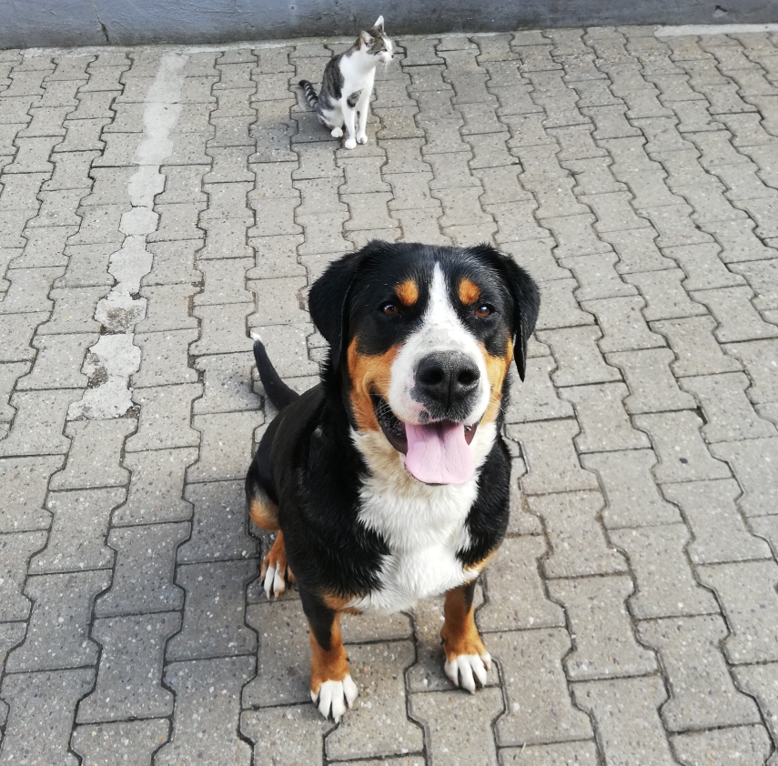 Cara mit unserer Katze Bonny 