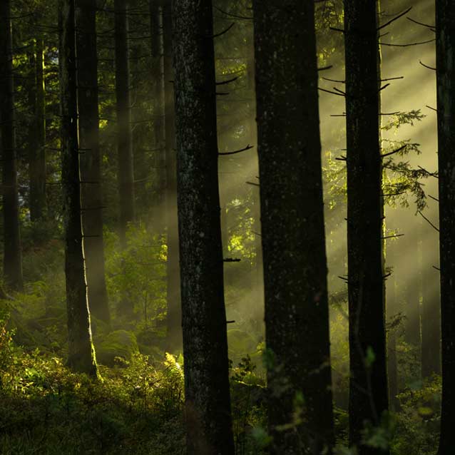 Bikemech altdorf uri bikewerk