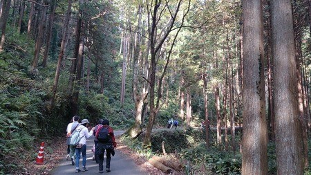 啓明荘までの道のりは林道のハイキング