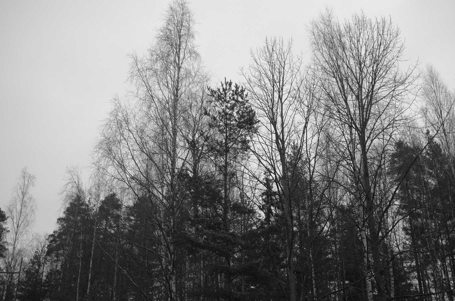 Turku, Finland., Elmar 50mm