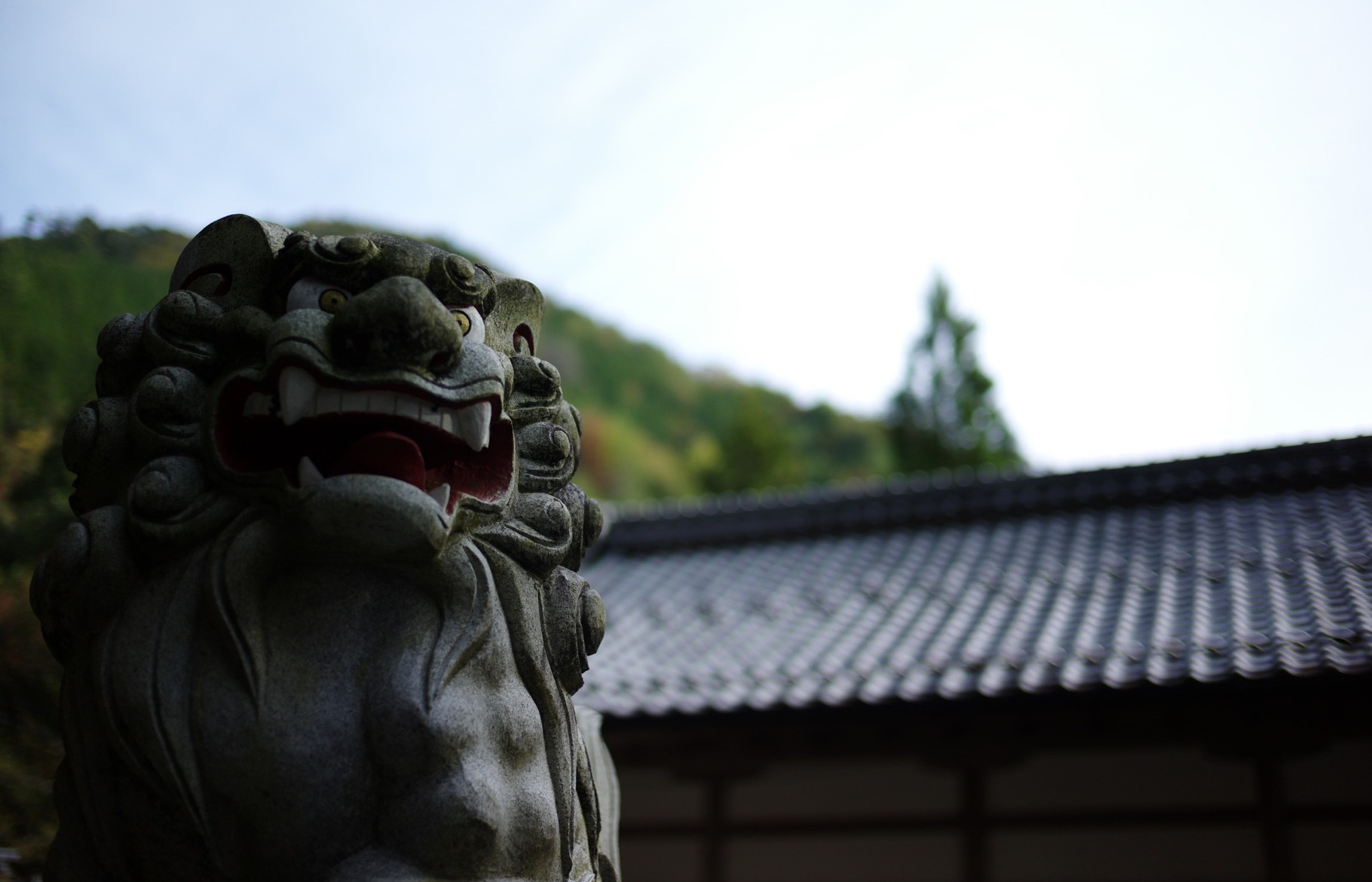 GIFU, JAPAN, Summilux 35mm