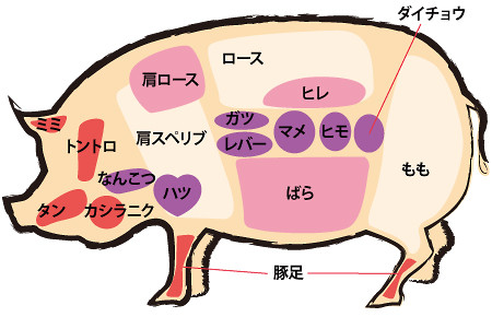 豚 鶏肉 福井康平デザイン事務所