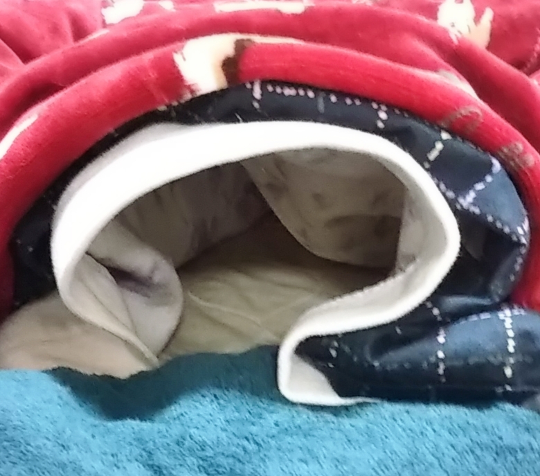 脱け殻のようです