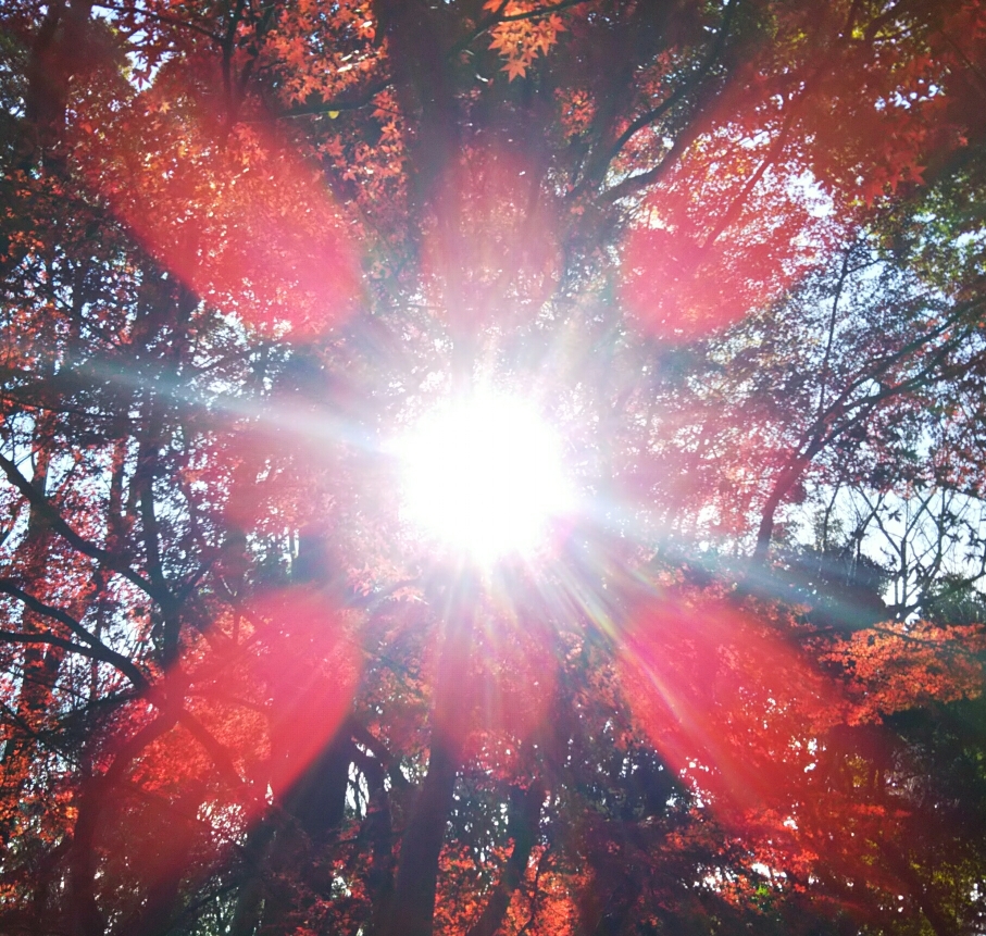 太陽のイメージ