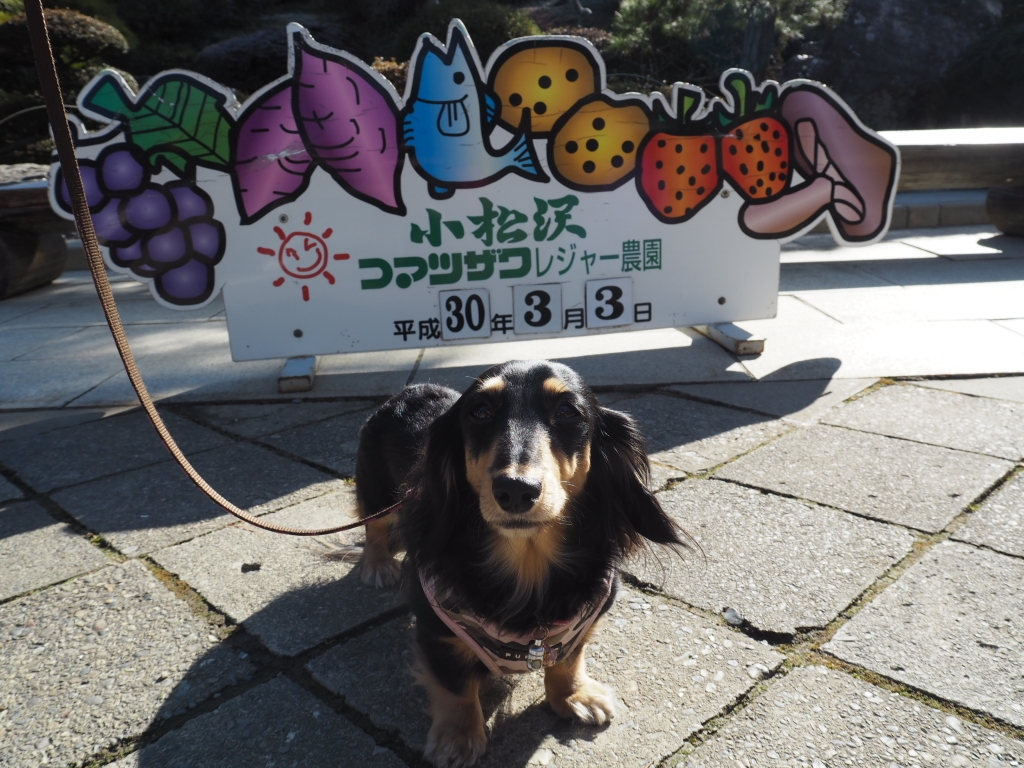 ここは出ても大丈夫!