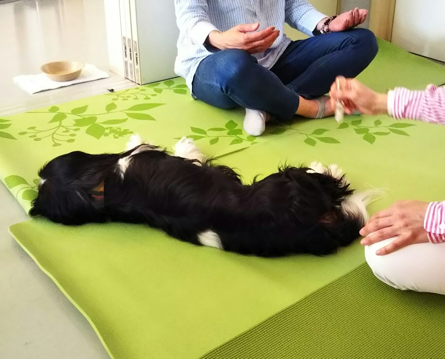 気持ち良さそう🎵