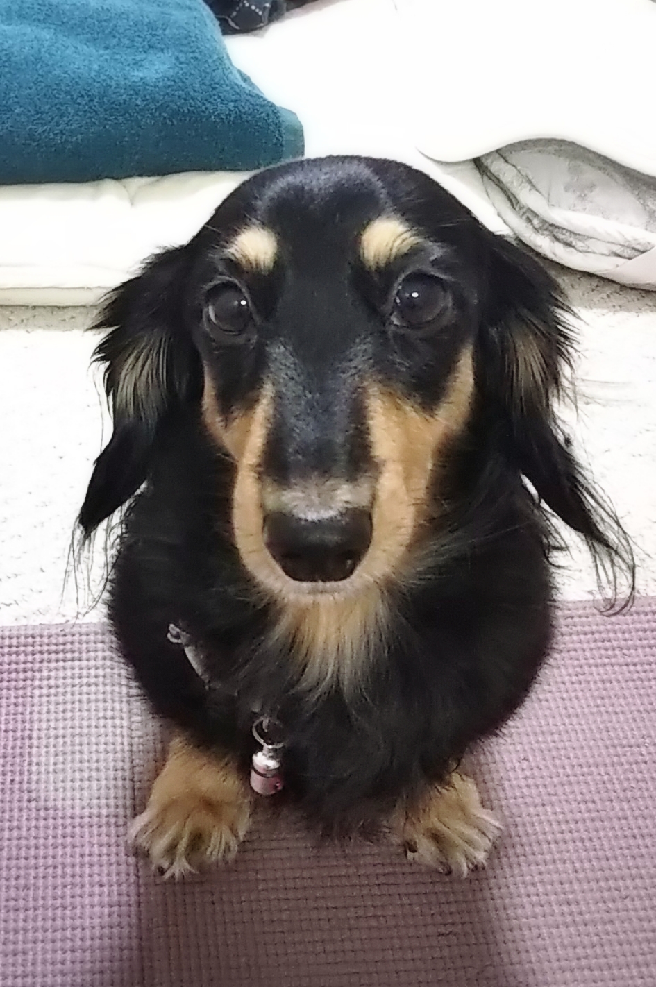 おはよう❤️