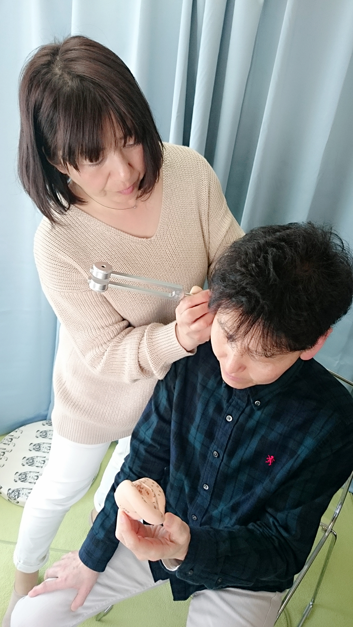 耳の模型を見つつ実践!