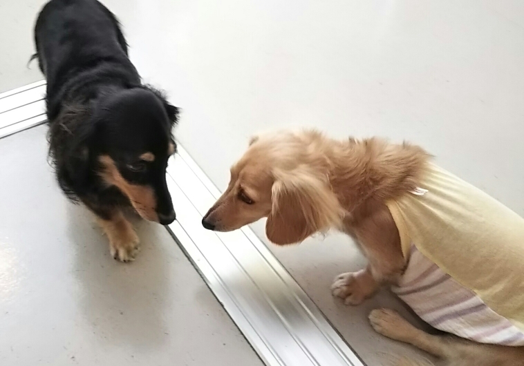 ご挨拶してた❤️