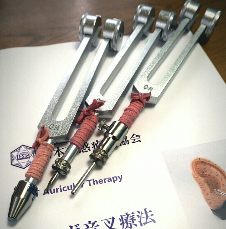 耳鍼も種類があります