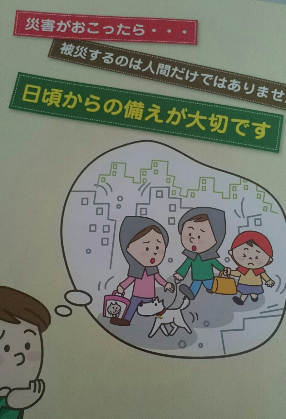 お住まいの自治体でパンフレットがあるのでご参考に❗