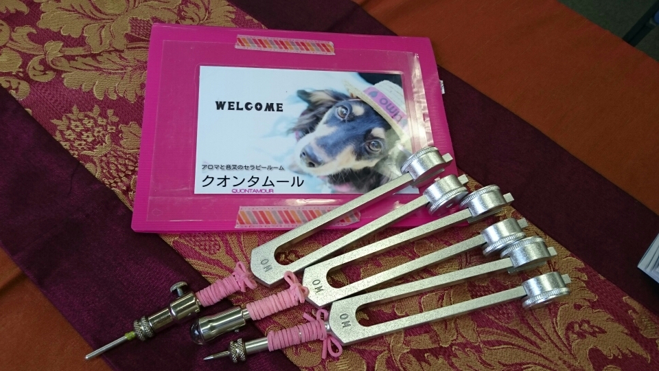 耳ツボ音叉療法講座