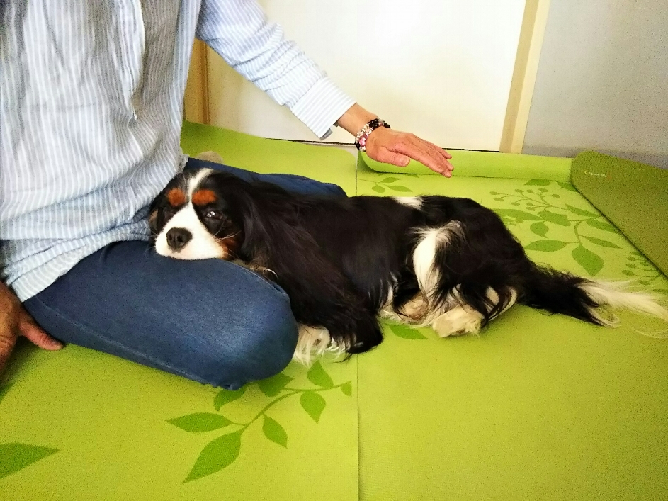 ママの膝枕でねむねむ