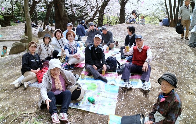 飛鳥山公園で楽しい昼食