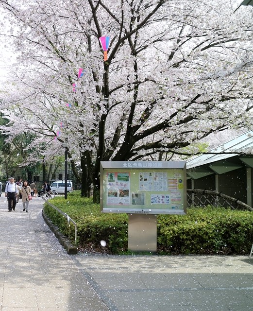 北区飛鳥山博物館