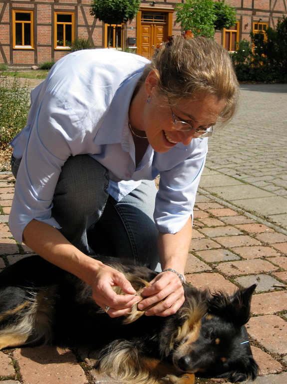 Akupunktur Dr. med. vet. Natascha Keunecke Chiropraktik & Akupunktur