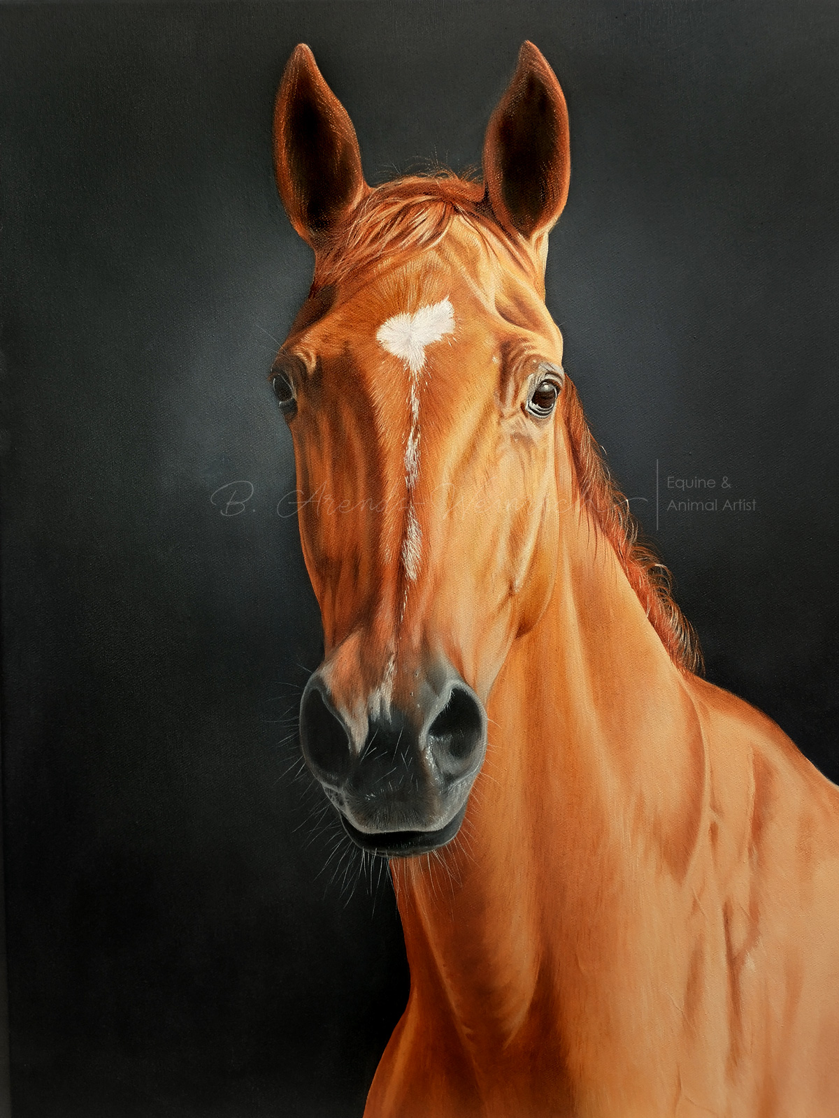 Pferdeportrait gemalt in Öl auf Leinwand. Auftragsarbeit im Format 60 x 80 cm. 