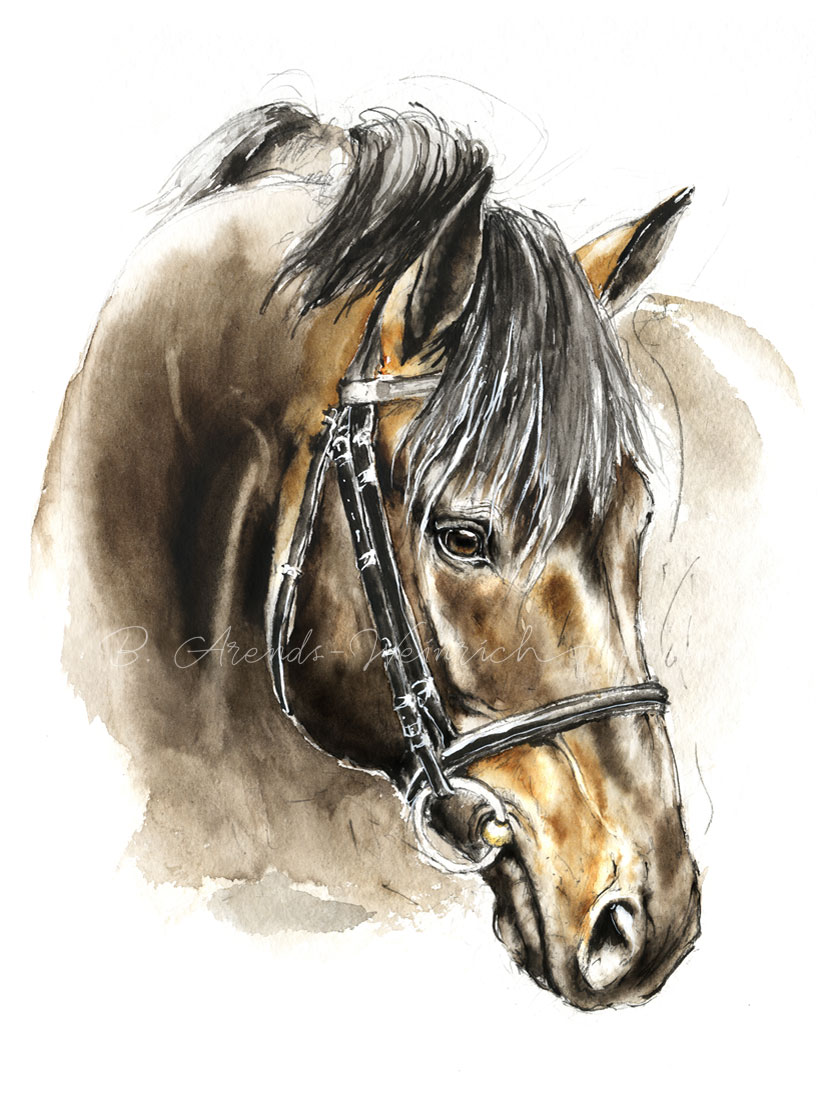 Pferdeportrait Skizze gemalt in Aquarell. Freie Arbeit im Format 20 x 30 cm 