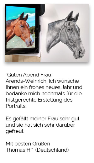 Pferdeportrait Bleistiftzeichnung malen lassen Erfahrungen Atelier Arends