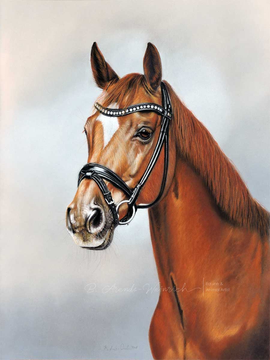Pferdeportrait gezeichnet in Pastell. Auftragsarbeit im Format 30 x 40 cm nach einer Fotovorlage von Stephanie Hafner.
