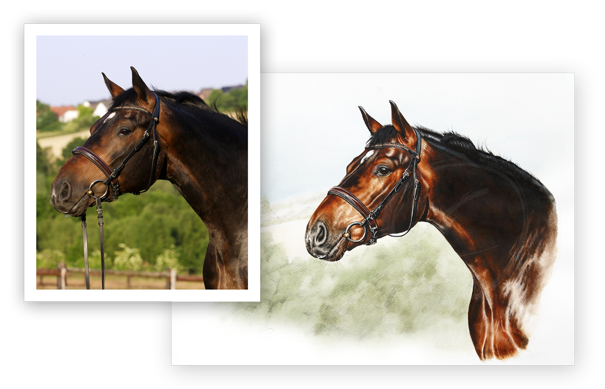 Tierportrait nach Fotovorlage gemalt in Aqaurell