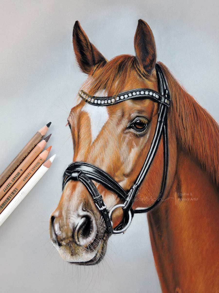 Pferdeportrait gezeichnet in Pastell. Auftragsarbeit im Format 30 x 40 cm nach einer Fotovorlage von Stephanie Hafner.
