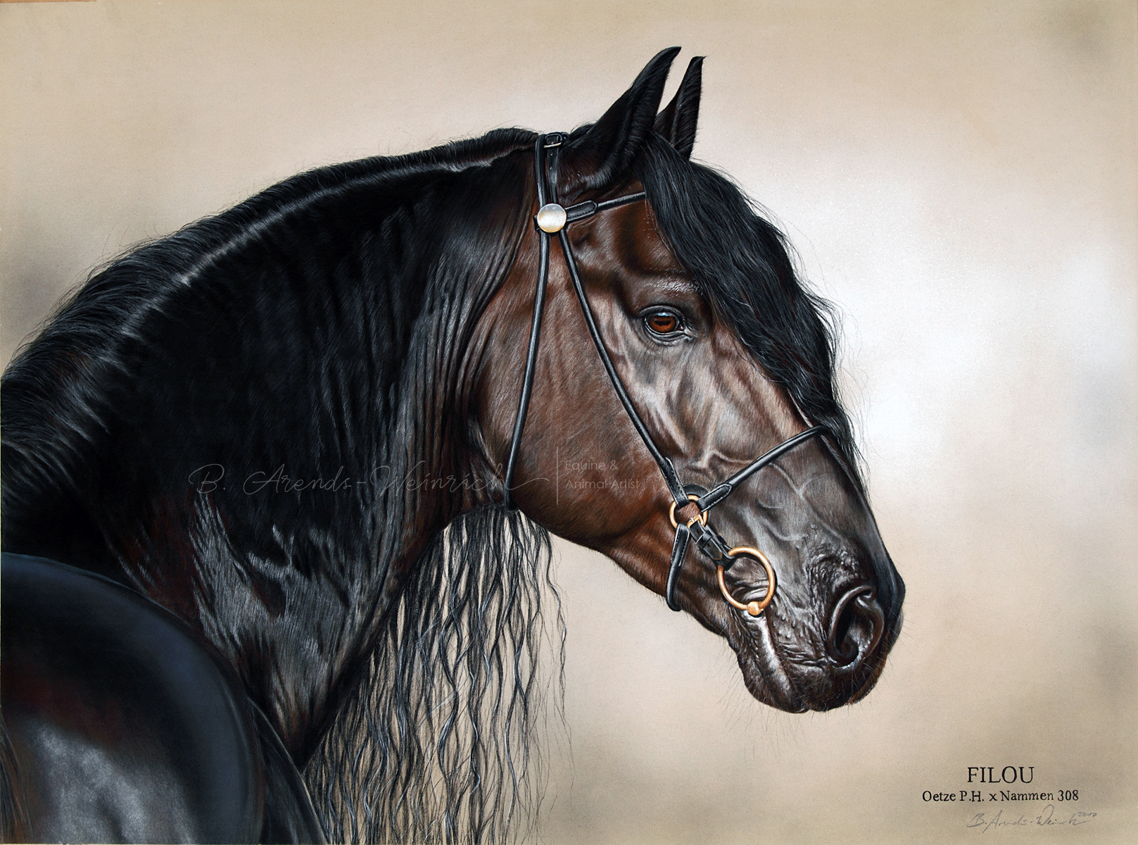 Friesen Hengst Filou - Pferdeportrait nach Foto gemalt in Pastell. Auftragsarbeit im Format 60x80cm.