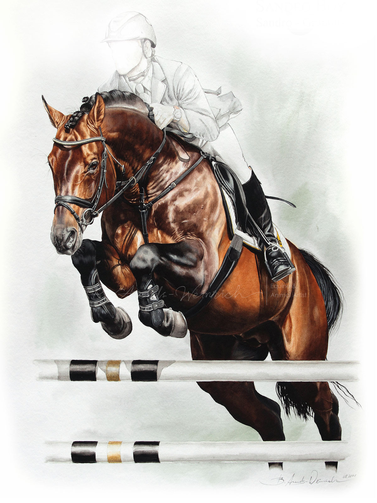 Springpferd Show Jumbing Pferdeportrait gemalt nach Foto in Aquarell