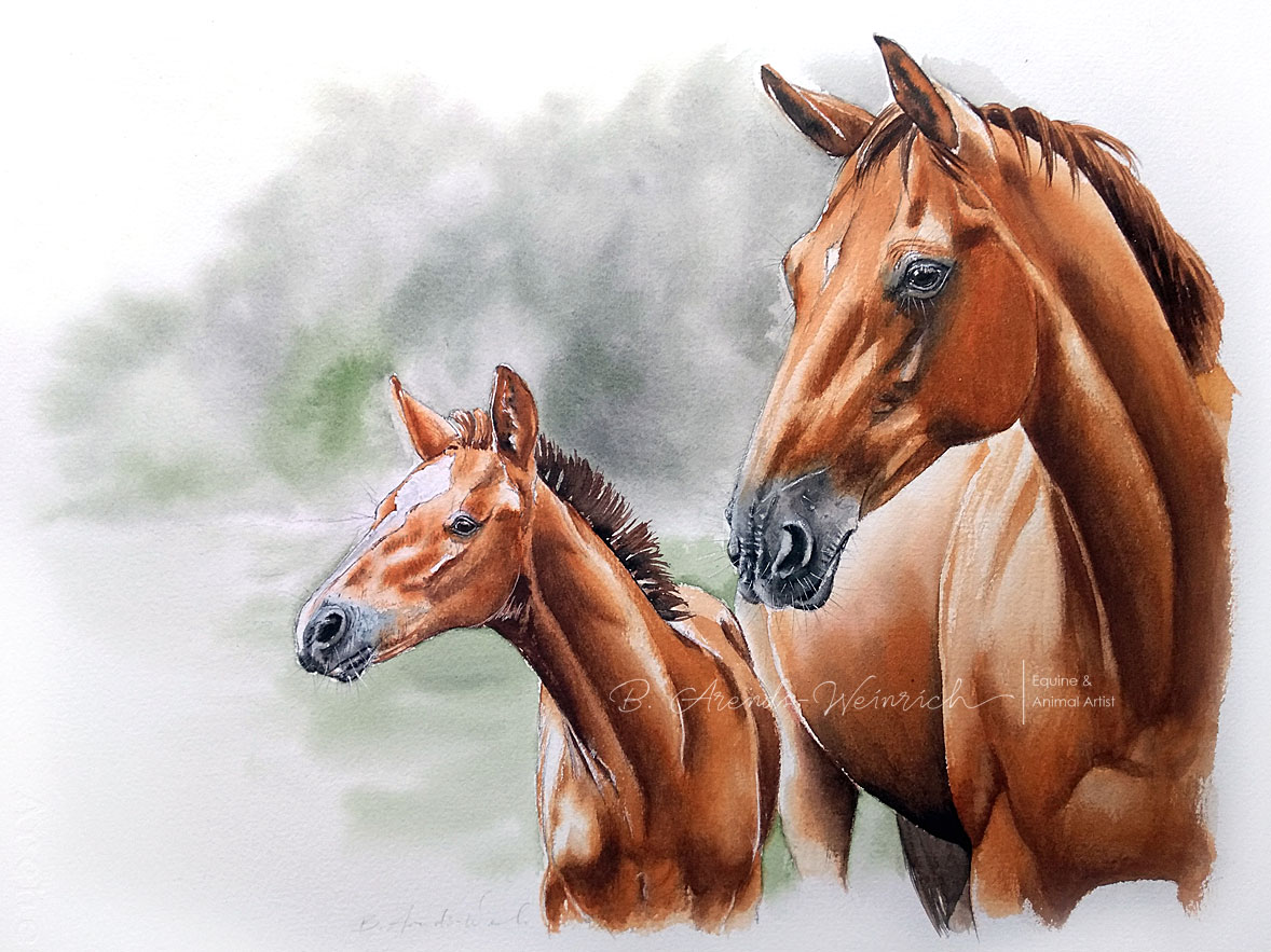 Fohlen & Stute gemalt in Aquarell. Auftragsarbeit im Format 30 x 40 cm. 