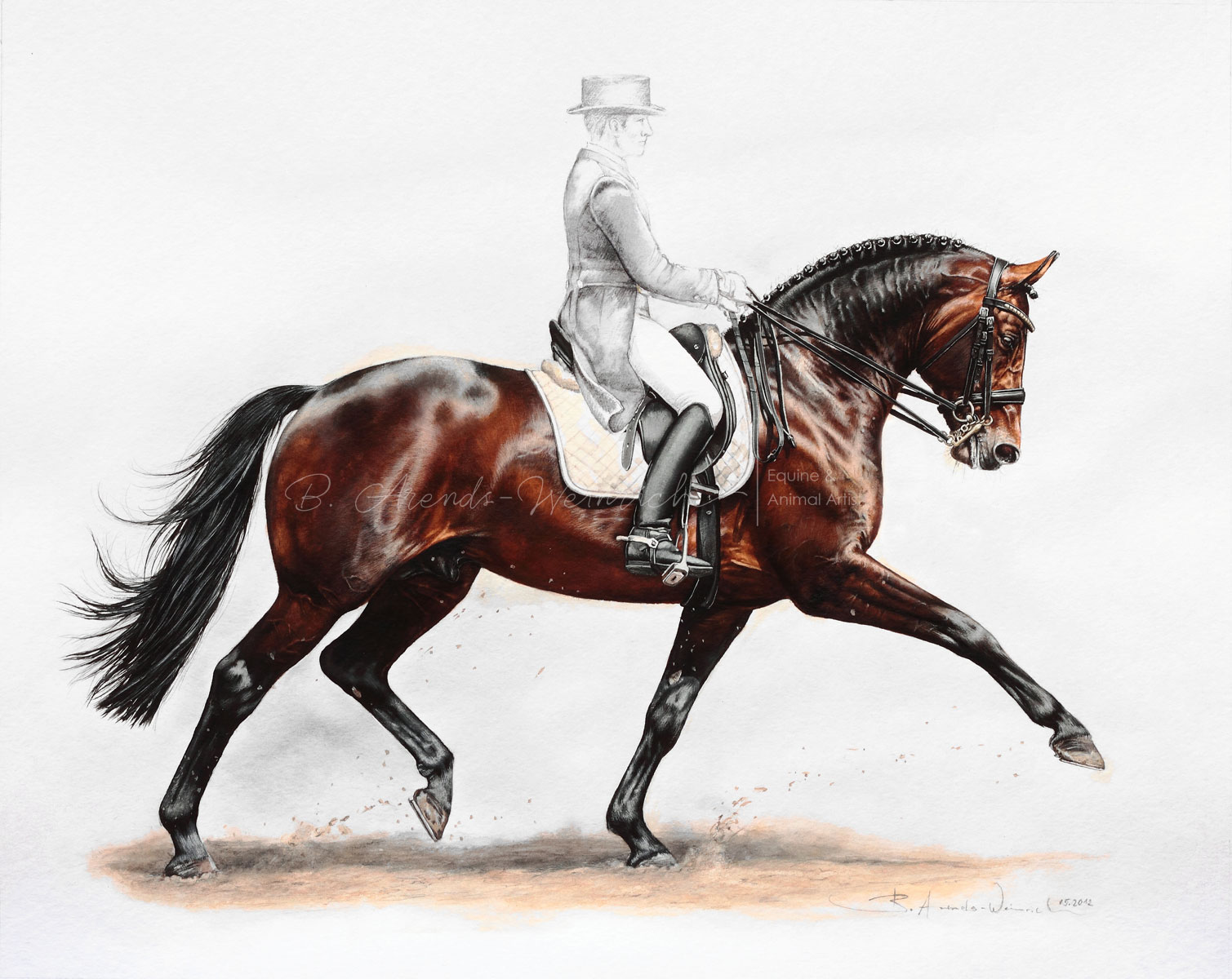 Dressur Dressage Pferdeportait gemalt in Aquarell nach Fotovorlage