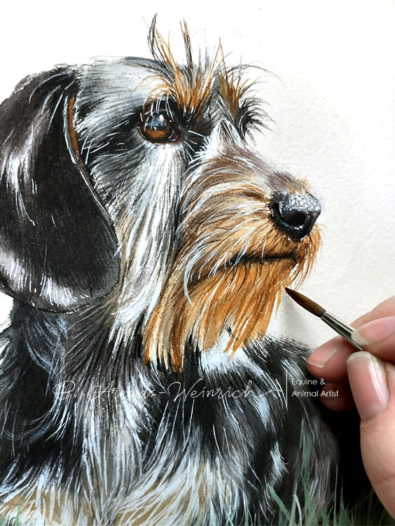Hundeportrait nach Fotovorlage