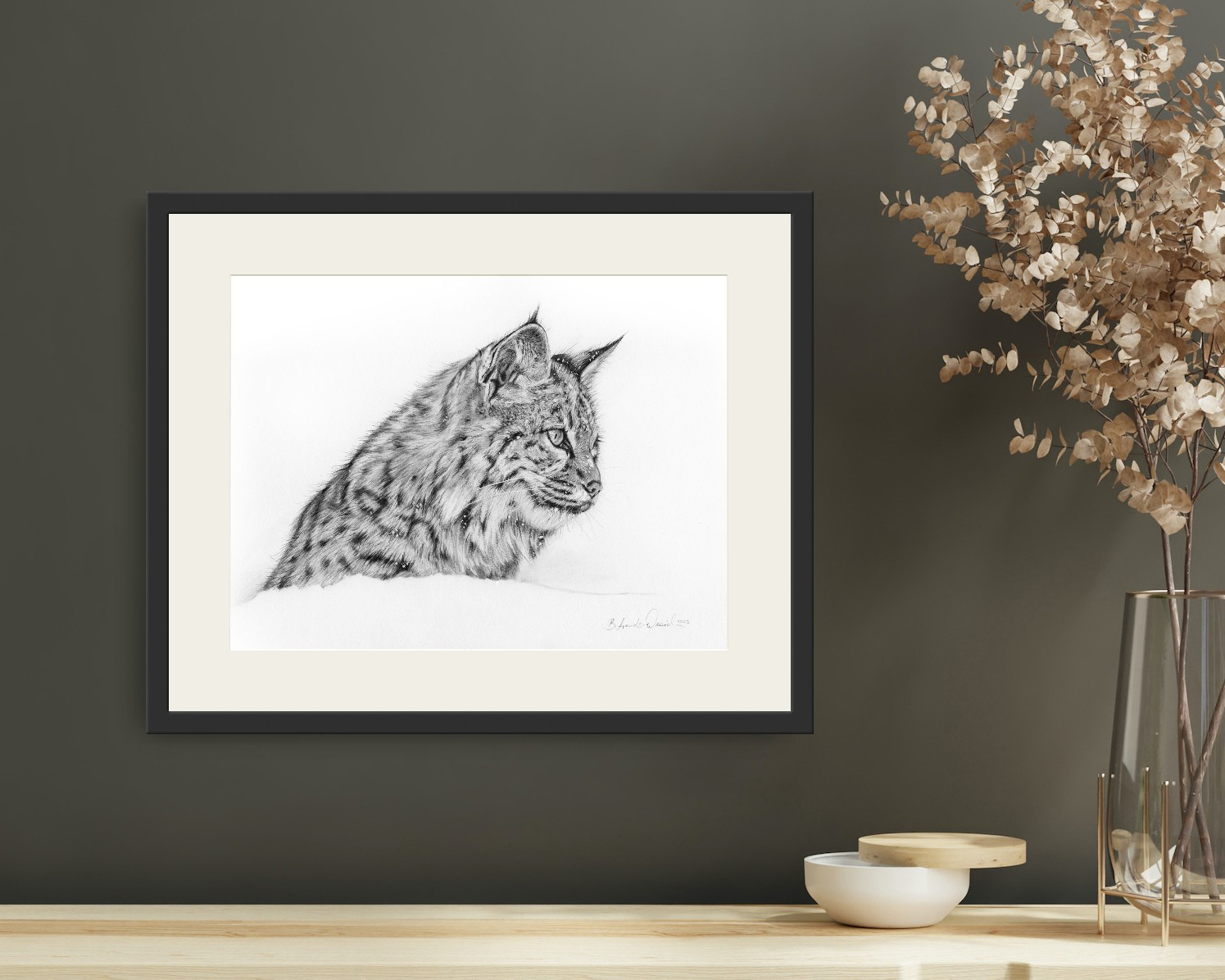 Luchs Bleistiftzeichnung 