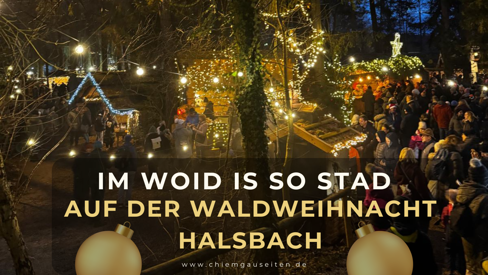 Auf der Waldweihnacht Halsbach