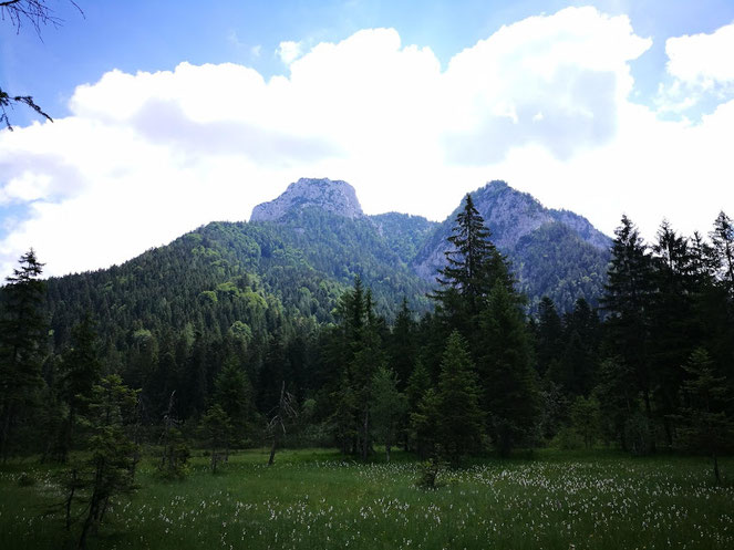 Hörndlwand