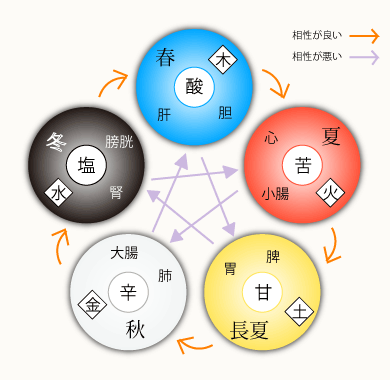 陰陽 五行 気血水 食べ物 薬膳