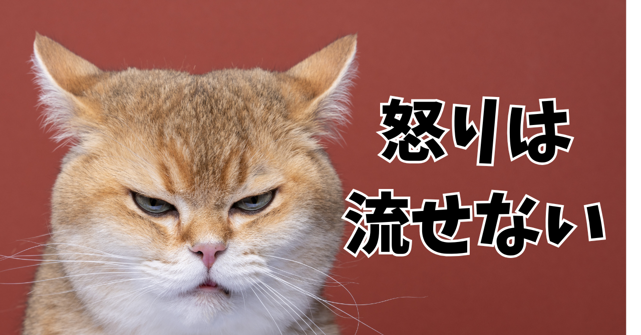 怒りは、流せない